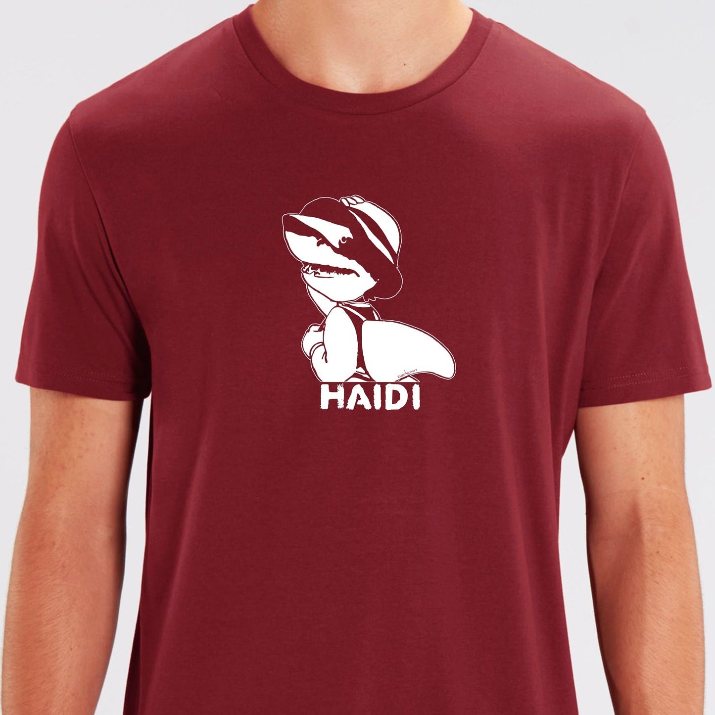 Haidi