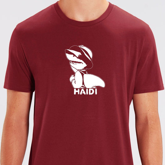 Haidi